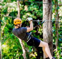 TreeTop Challenge Currumbin - Events Australia