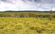 Yuraygir National Park - thumb 0
