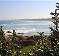 Cape Conran Nature Trail - Events Australia