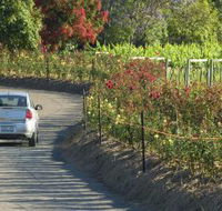 Cassegrain Wines - Events Australia