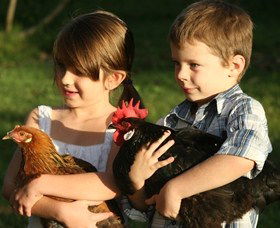 Summerland House Farm - House With No Steps - Events Australia 2