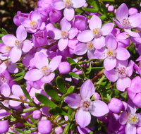 Broadwater National Park - Events Australia