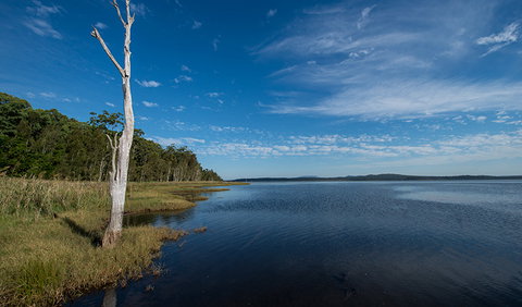 Lake Innes Nature Reserve - Events Australia 0