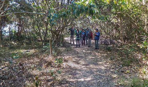 Brunswick Heads Nature Reserve - Events Australia 3