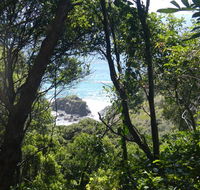 Rainforest walking track