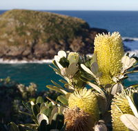 Green Island walking track