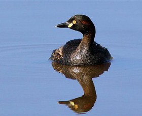 Panboola Wetlands - Events Australia 0