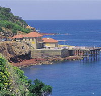 Merimbula Aquarium - Events Australia