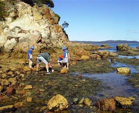 Sapphire Coast Marine Discovery Centre - Events Australia 0