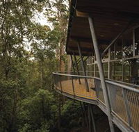 Tarkine Forest Adventures - Dismal Swamp - Events Australia