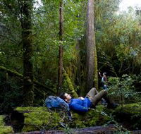 The Tarkine Drive - Events Australia