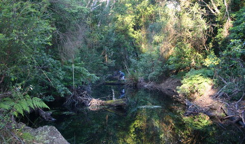 Nadgee Nature Reserve - Events Australia 2