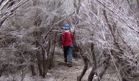 Nadgee Nature Reserve - Events Australia 3