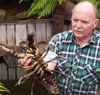 Lobster Ponds - Events Australia