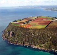 Table Cape - Events Australia