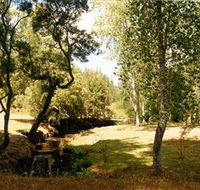 Oldina Picnic Area - Events Australia