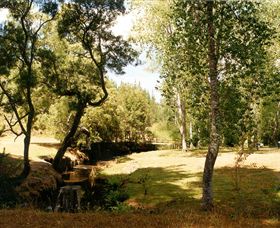 Oldina Picnic Area - Events Australia 0