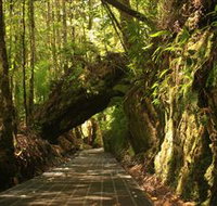 Philosopher Falls - Events Australia