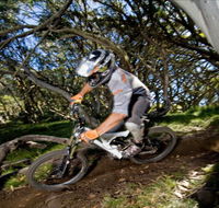 All Terrain Cycles