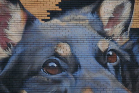 Visit Benalla Tours - Events Australia 1