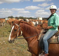 Myella Farm Stay Tours - Events Australia