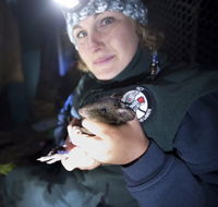 Naturewise at Tidbinbilla - Events Australia