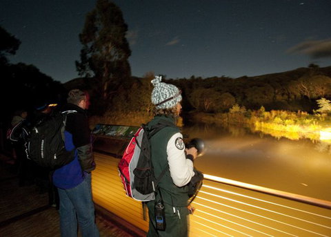 Naturewise At Tidbinbilla - Events Australia 1
