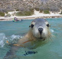 Calypso Star Charters - Events Australia