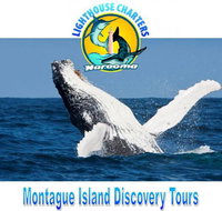 Lighthouse Charters Narooma - Tourism Bookings