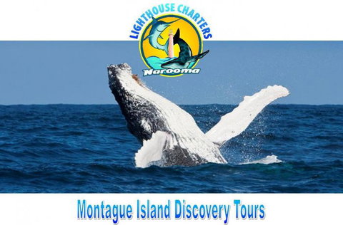 Lighthouse Charters Narooma - Events Australia 2