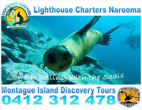 Lighthouse Charters Narooma - Events Australia 11