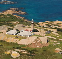 Naturewise Montague Island Nature Escape - Tourism Bookings