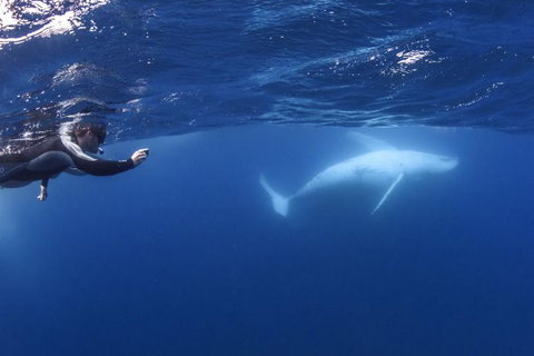 Sunreef Mooloolaba - Events Australia 2