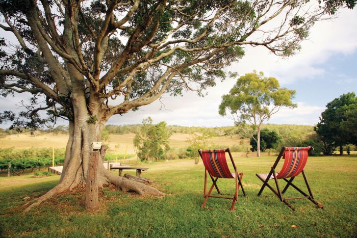 Harristown QLD Events Australia