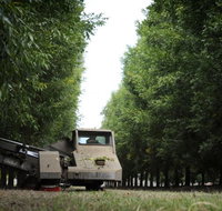 ODempseys Charters and Tours - Events Australia