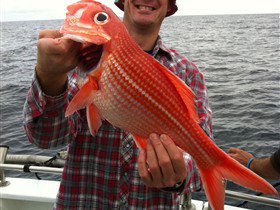 Goin' Off Safaris - Events Australia 2