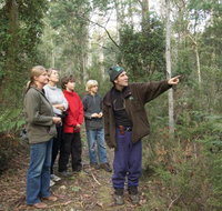 Great Western Tiers Forest Walks Tasmania - Events Australia