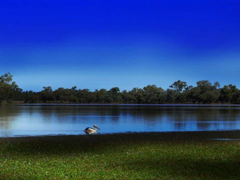 Stars, Parks And Legends Drive - Events Australia 2