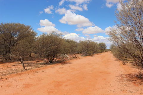 Stars, Parks And Legends Drive - Events Australia 7