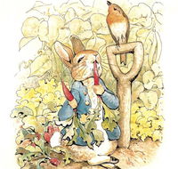 Mount Isa Civic Centre - Events Australia