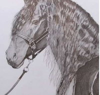 Great Lakes Art Society - Events Australia