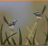 Castlereagh Collectables - Events Australia