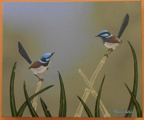 Castlereagh Collectables - Events Australia 0