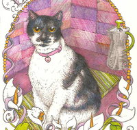 Art Hive Artist - Events Australia