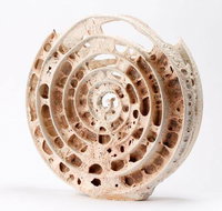 Noosa Regional Gallery - Events Australia