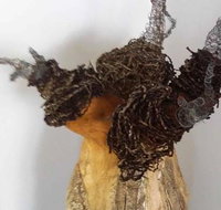 Caldera Wildscapes Gallery - Tourism Bookings