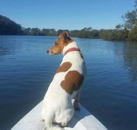 Australis Canoes  Kayaks - Events Australia