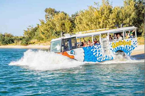 Quackr Duck - Tourism Bookings 1