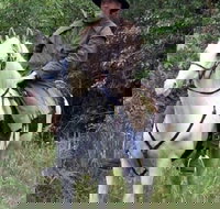 AAA Horse Riding  More - Events Australia