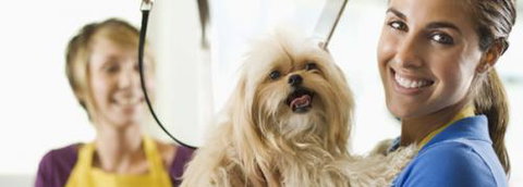 Port Stephens Pet Barn - Events Australia 1